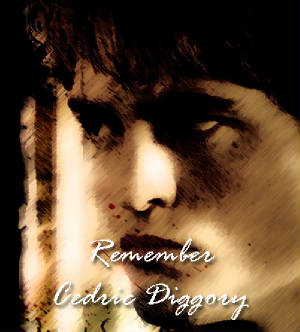 rememberced.jpg